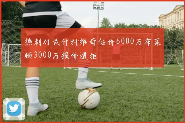 热刺对武什科维奇估价6000万布莱顿3000万报价遭拒