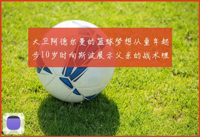 大卫阿德尔曼的篮球梦想从童年起步10岁时向斯波展示父亲的战术理念