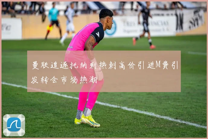 曼联追逐托纳利热刺高价引进M费引发转会市场热潮