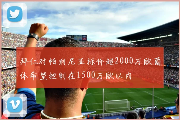 拜仁对帕利尼亚标价超2000万欧葡体希望控制在1500万欧以内